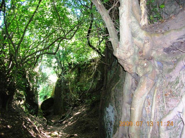 Tuscia nascosta